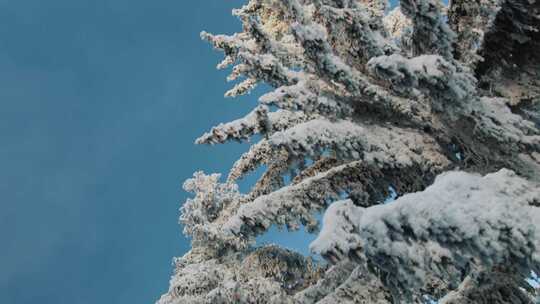 山区冬季单板滑雪5