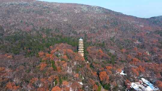 南京灵谷寺灵谷塔雪后航拍