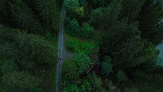 森林路上骑自行车航拍