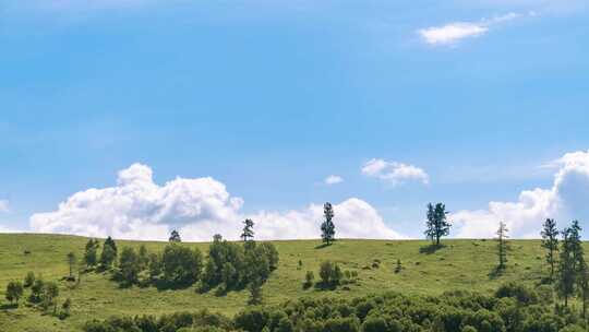 新疆北疆阿勒泰夏天山坡树林云朵延时