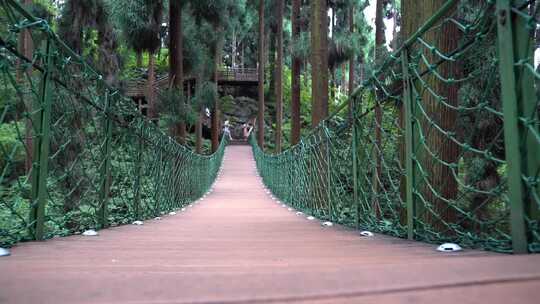 峨眉山 七里坪 公园 森林 青山绿水