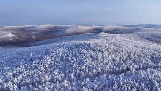 林海雪原雪森林雾凇横移镜250104