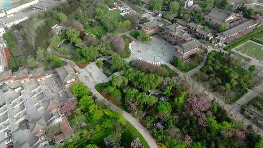 西安青龙寺樱花