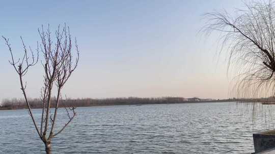 城市落日余晖摇湿地公园河流波光粼粼