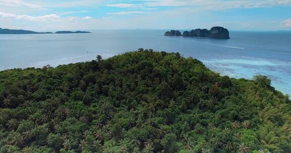 泰国旅游视频泰国普吉岛pp岛上森林植被