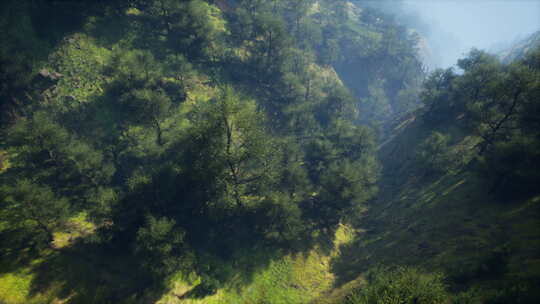 喀尔巴布韦山脉穆迪天气景观