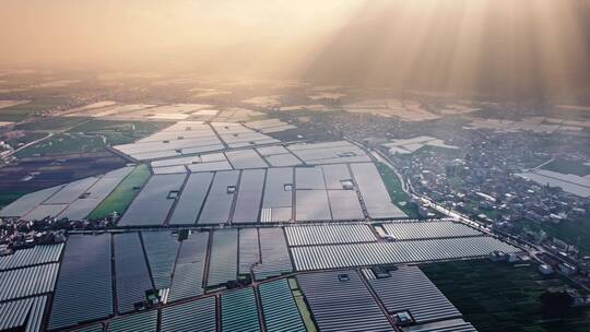 4k航拍云南蔬菜大棚种植基地 9