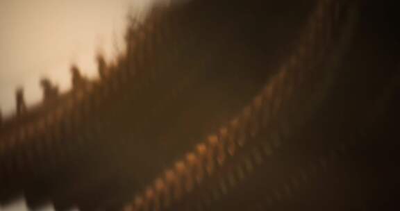 雨天故宫房檐脊兽倒影水滴涟漪