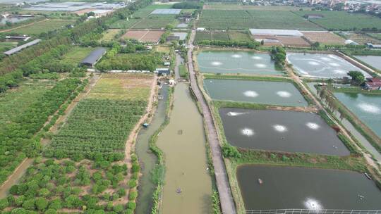 4K乡村振兴农业水产养殖农业养殖生态