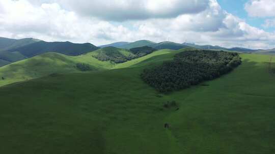 航拍草原风景