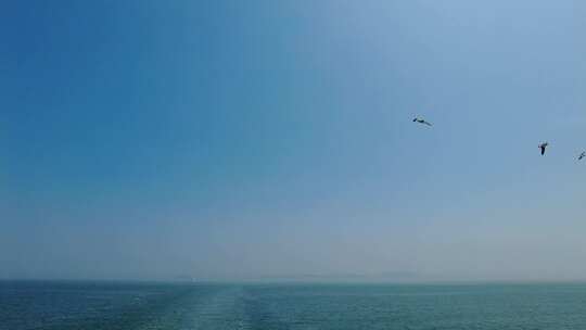 蓝色海洋大海海鸥岛屿浪花风景航拍