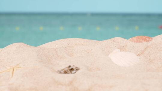 海滩上的贝壳和海星特写视频素材模板下载