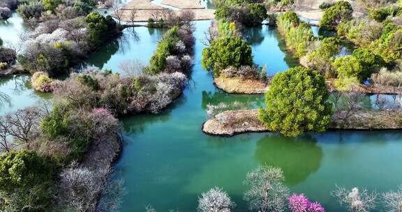 杭州西溪湿地梅花江南水乡小船惬意春游