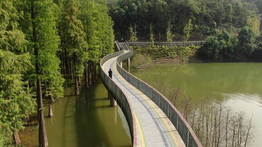 航拍杭州青山湖水上森林