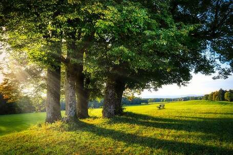 福州 三坊 七巷 花园微风 原声吉他