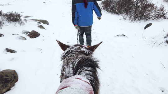 冬天在冰天雪地里骑马的第一人称视角