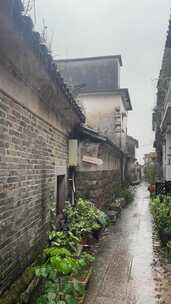 夏季雨天乡村小道雨声清清