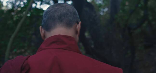佛教徒在森林中行走