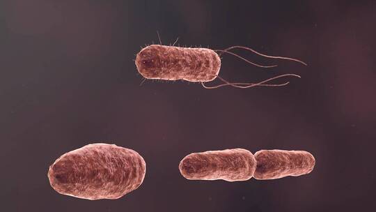 医学病原体病毒病原体病菌细菌医学三维动画