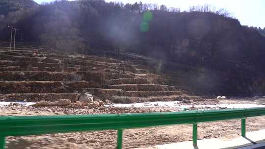 公路旁山野树林景色