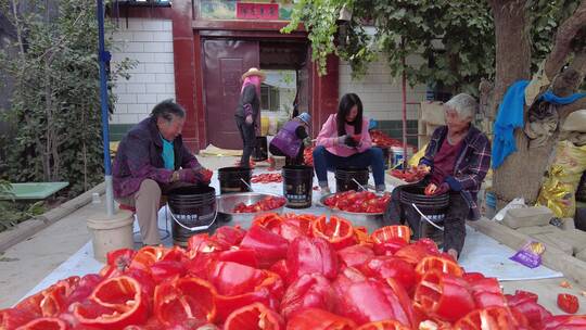 农村妇女手工甜椒挖瓤取籽延时