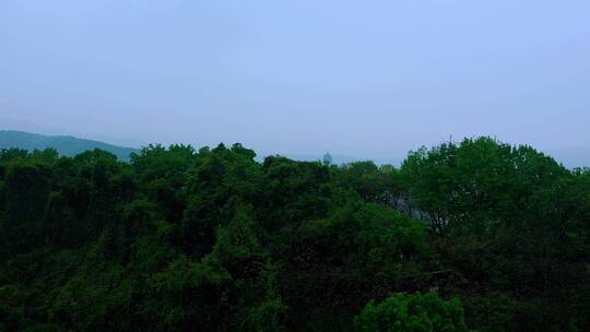 晨雾弥漫的西湖景区