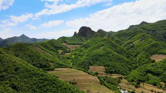 辽宁原生态风景自然风光绿水青山