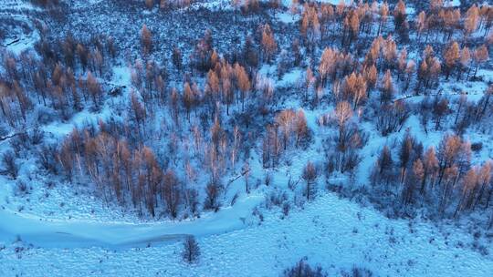 大兴安岭冻土地带冬日森林雪景