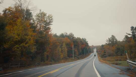 驾驶，道路，树木，缅因州