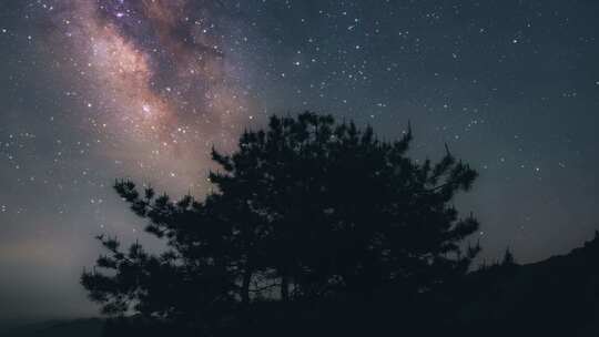 黄山市徽州天路白际岭树木星空银河延时