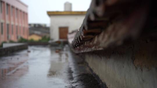 雨滴 雨水特写 水珠