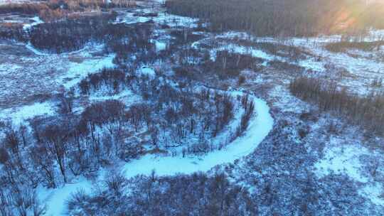 航拍冰雪覆盖的冻土森林湿地视频素材模板下载