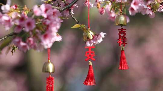 樱花 树下飘动的 风铃特写 风铃