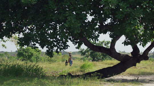 非洲女人头顶蔬菜篮子接孩子放学回家