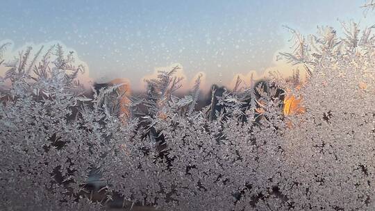 冬天窗户上美丽的冰花