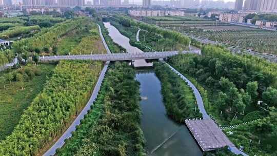 生态河流风景航拍