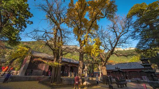 济南灵岩寺大雄宝殿延时8K