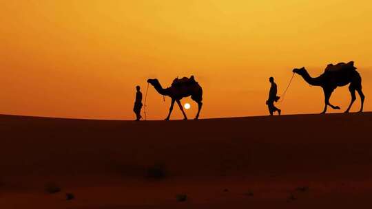 日落黄昏沙漠中的骆驼02