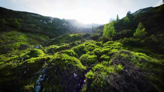 FPV穿越机无人机航拍森林高山山脉阳光日出