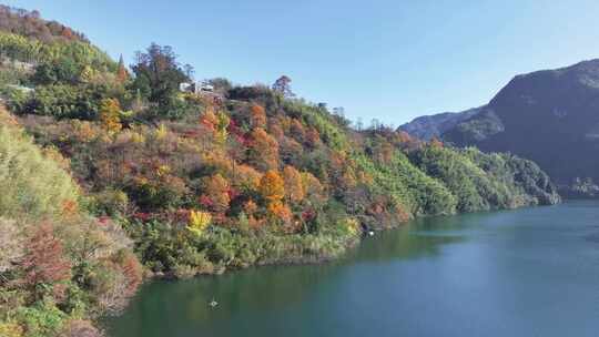 四明山秋天秋景秋色 茅镬公园