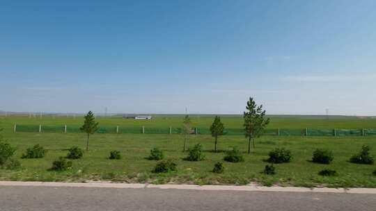 公路旁草原风光