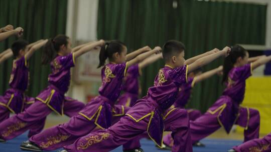 紫色衣服的学生练习武术