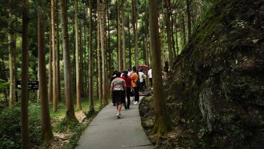 浙江温州雁荡山山谷奇特景观