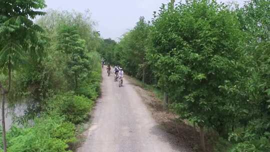 武汉山路骑行多人森林