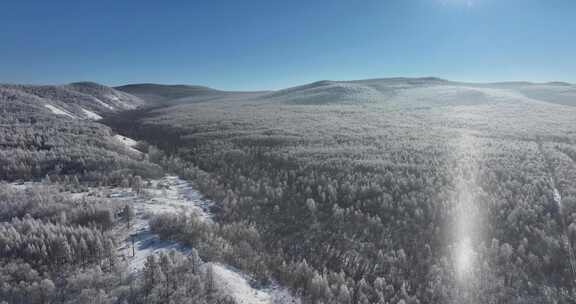 大兴安岭雪松航拍