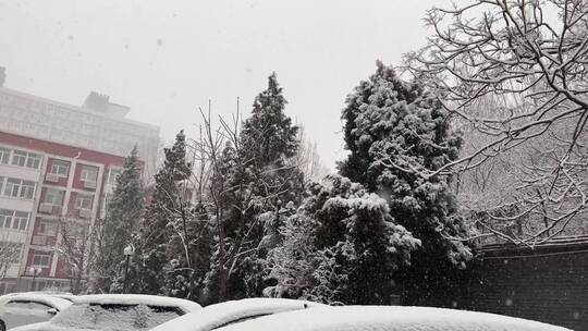 下雪住宅楼雪景