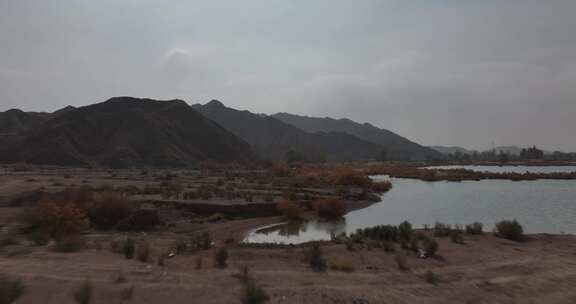 赤金峡水库湿地胡杨航拍