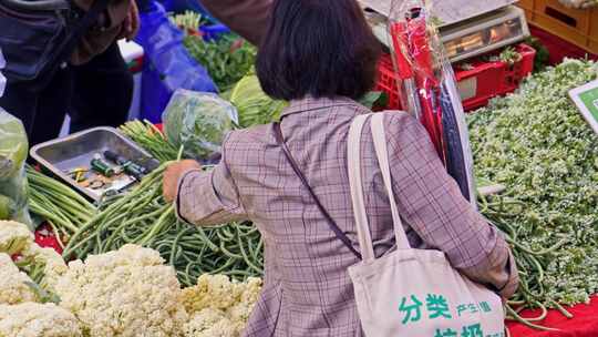 菜市场买菜挑选蔬菜的女人