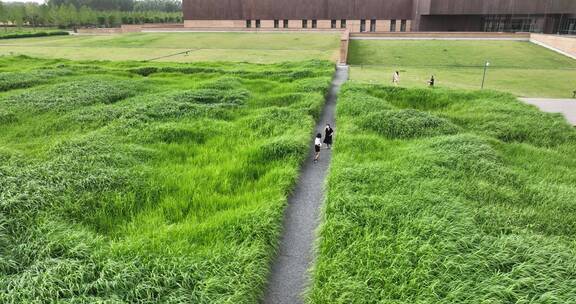 洛阳二里头夏都博物馆航拍芦苇荡建筑美学