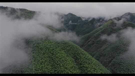 安徽黄山市黟县雨后云雾缭绕自然风光航拍4k